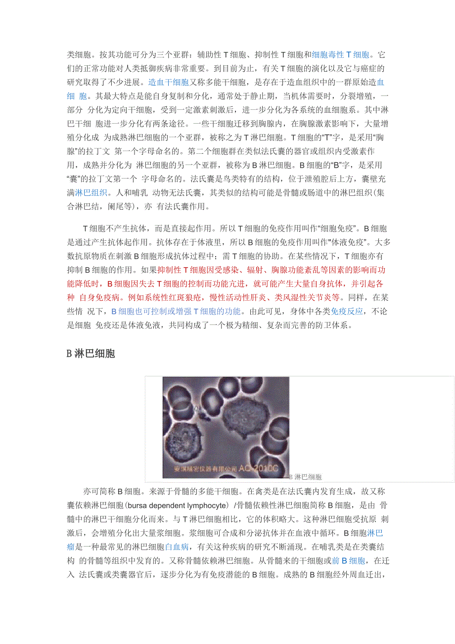 免疫细胞概述_第3页