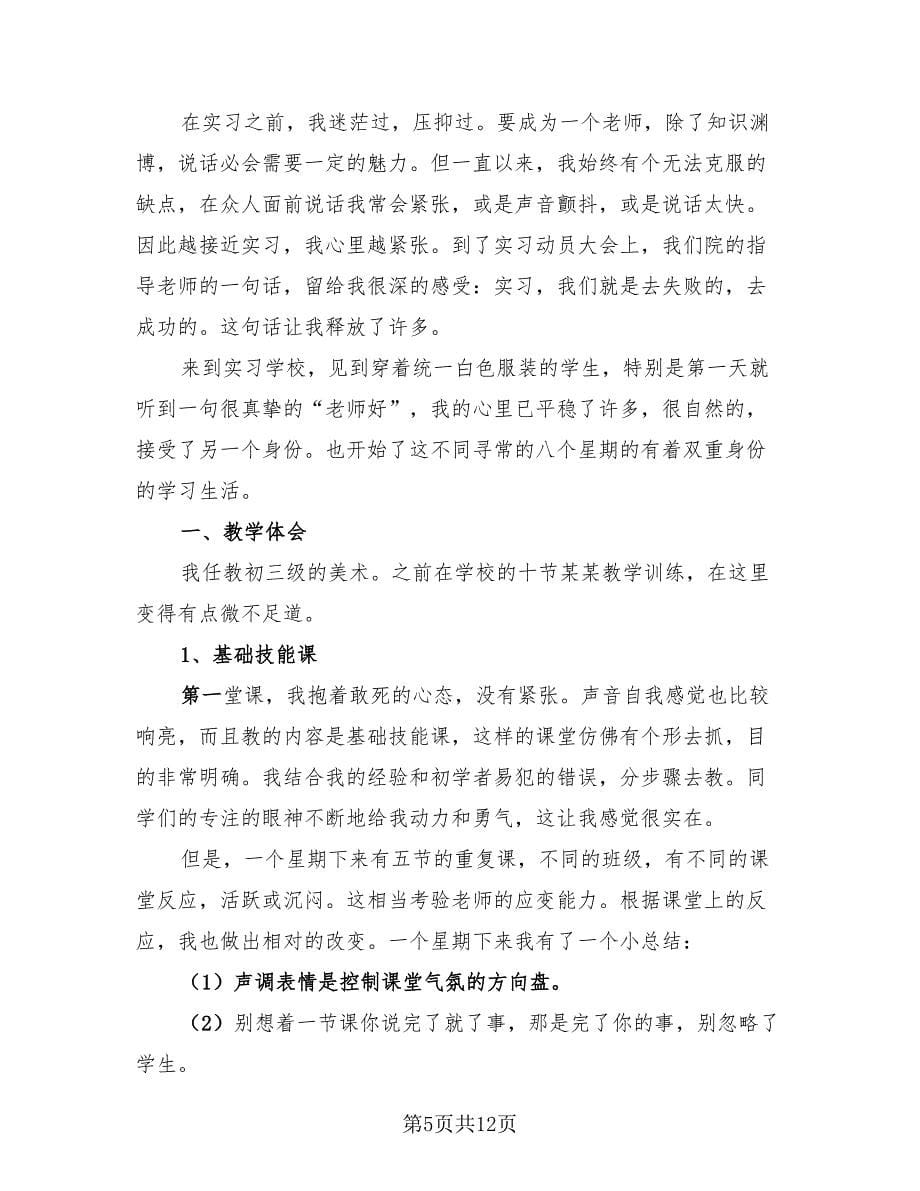 2023年实习美术教师个人总结（4篇）.doc_第5页