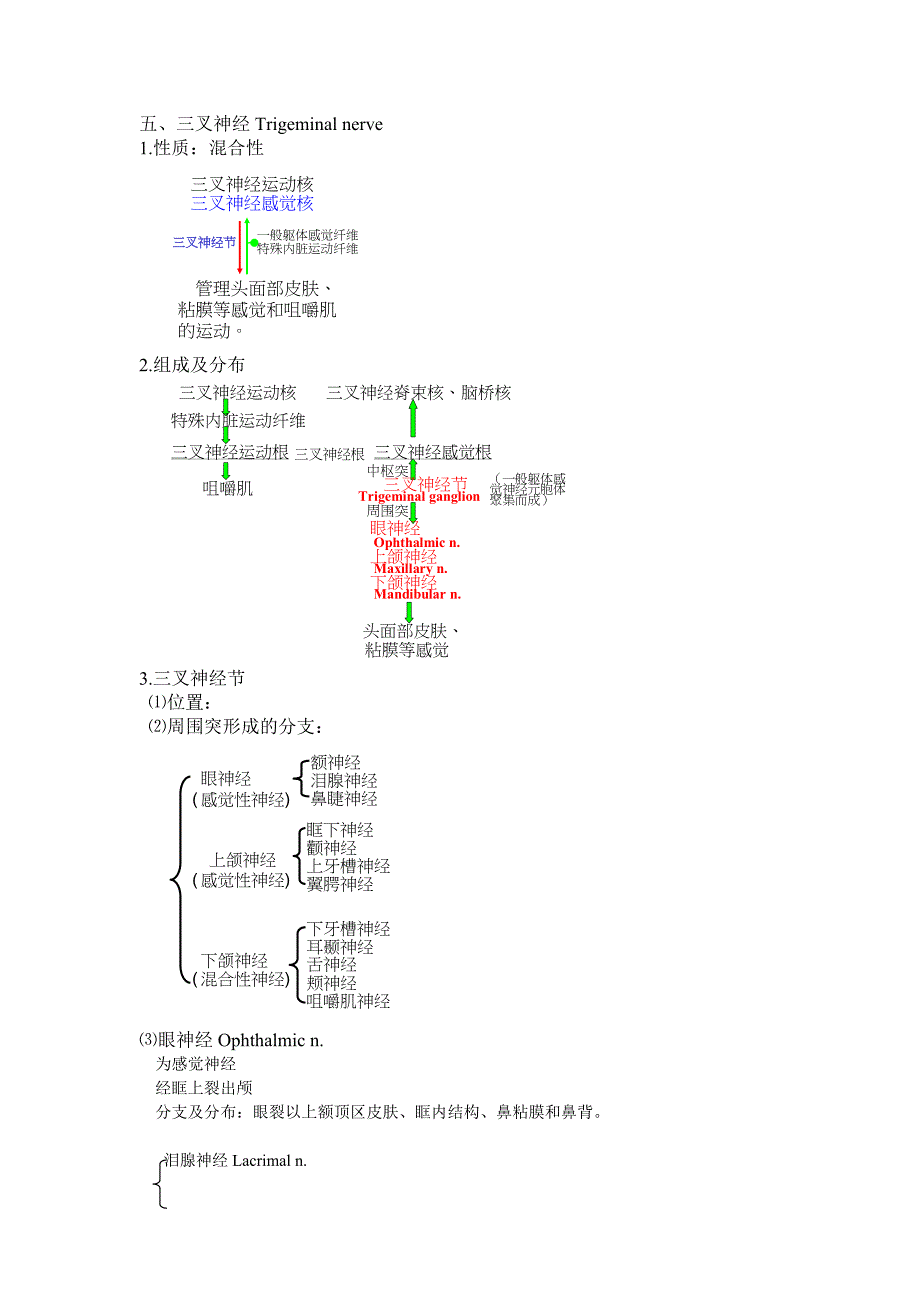 系解笔记(脑神经2).doc_第1页