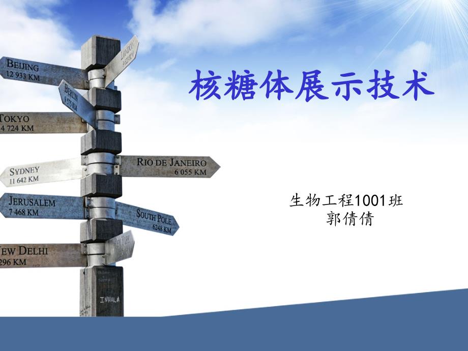 《核糖体展示技术》PPT课件_第1页