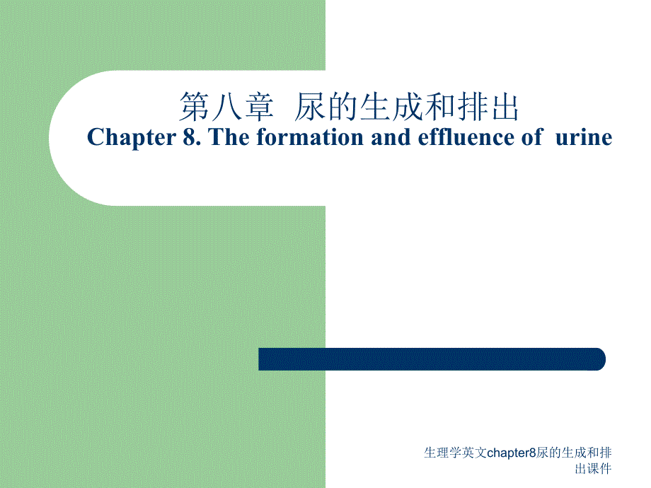 生理学英文chapter8尿的生成和排出课件_第1页