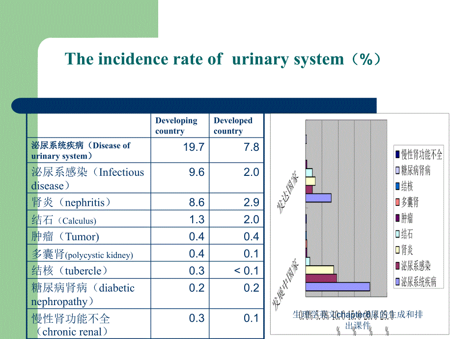 生理学英文chapter8尿的生成和排出课件_第2页