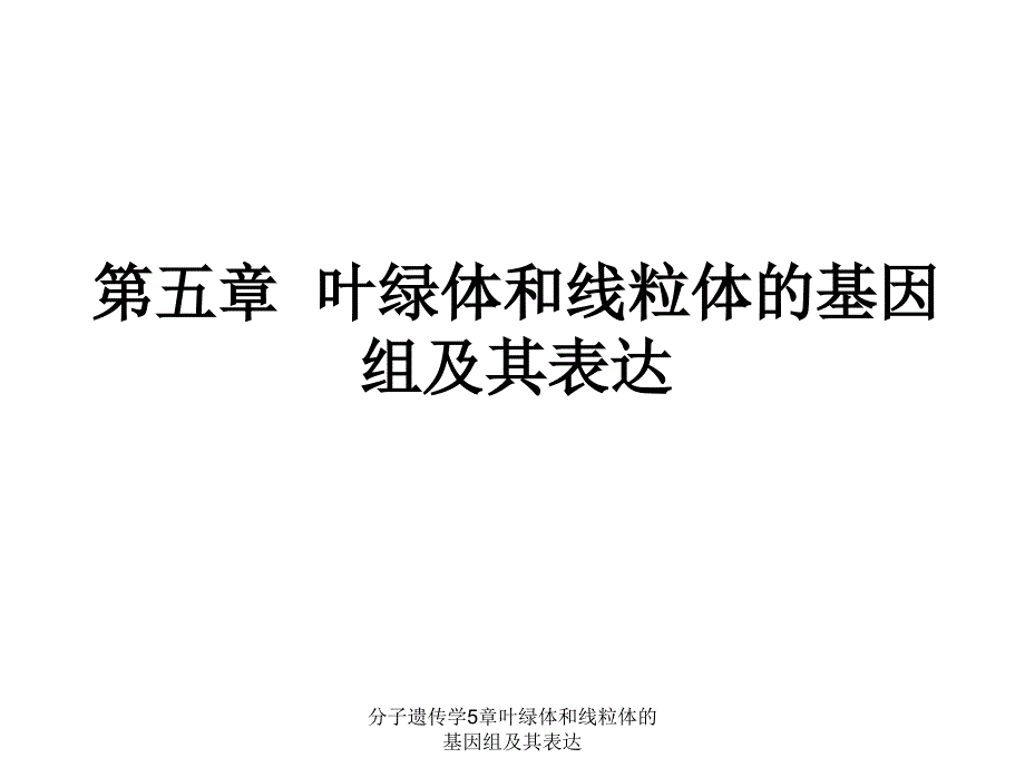 分子遗传学5章叶绿体和线粒体的基因组及其表达课件_第1页