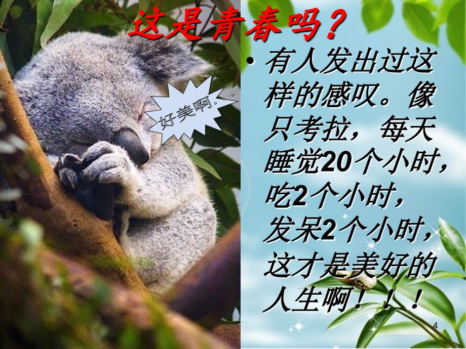 励志青主题班会PPT优秀课件_第4页