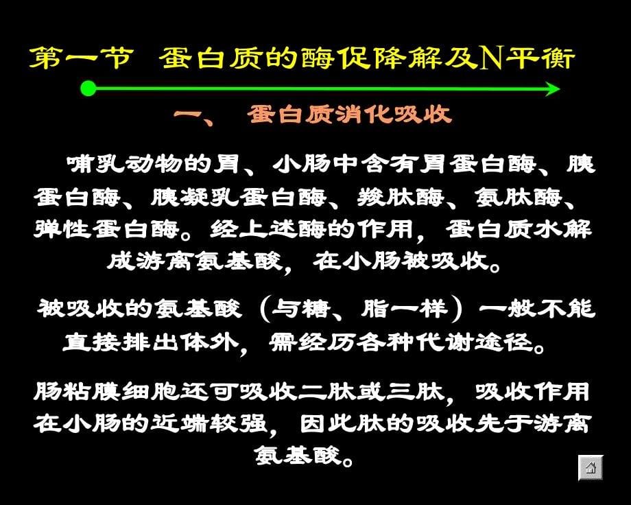 蛋白质降解及氨基酸代谢_第5页