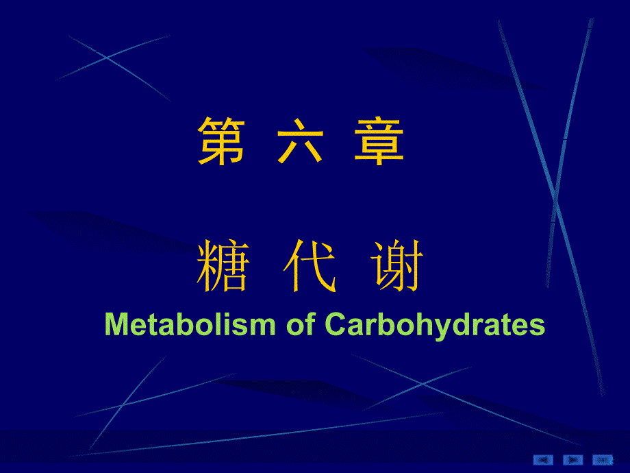 人卫8版糖代谢_第2页