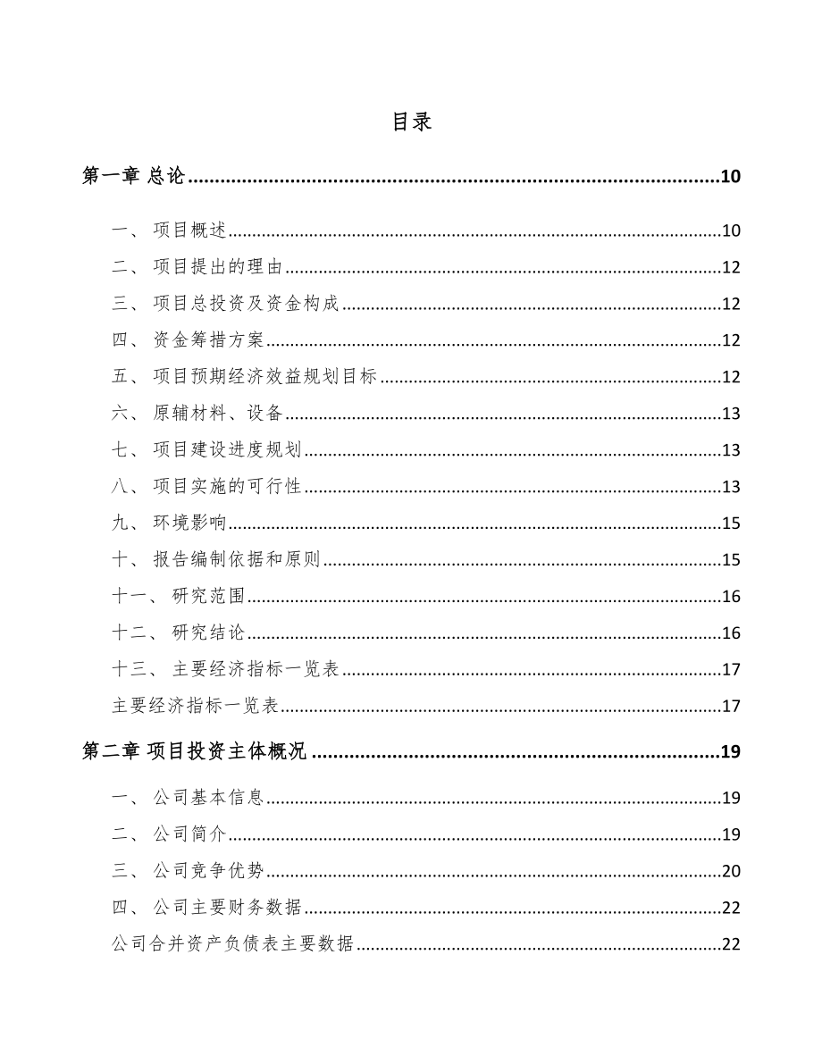 锌锭项目可行性研究报告_第2页