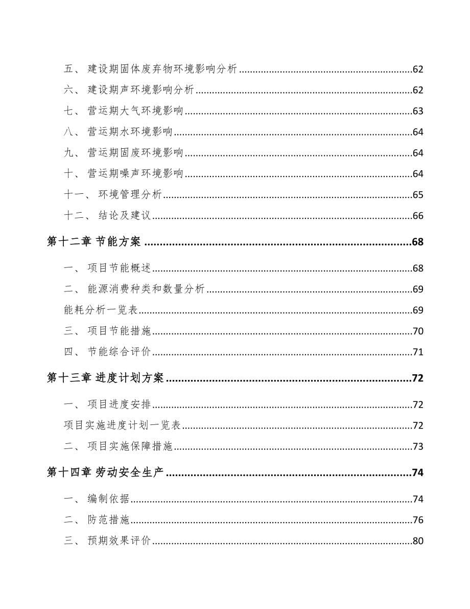 锌锭项目可行性研究报告_第5页