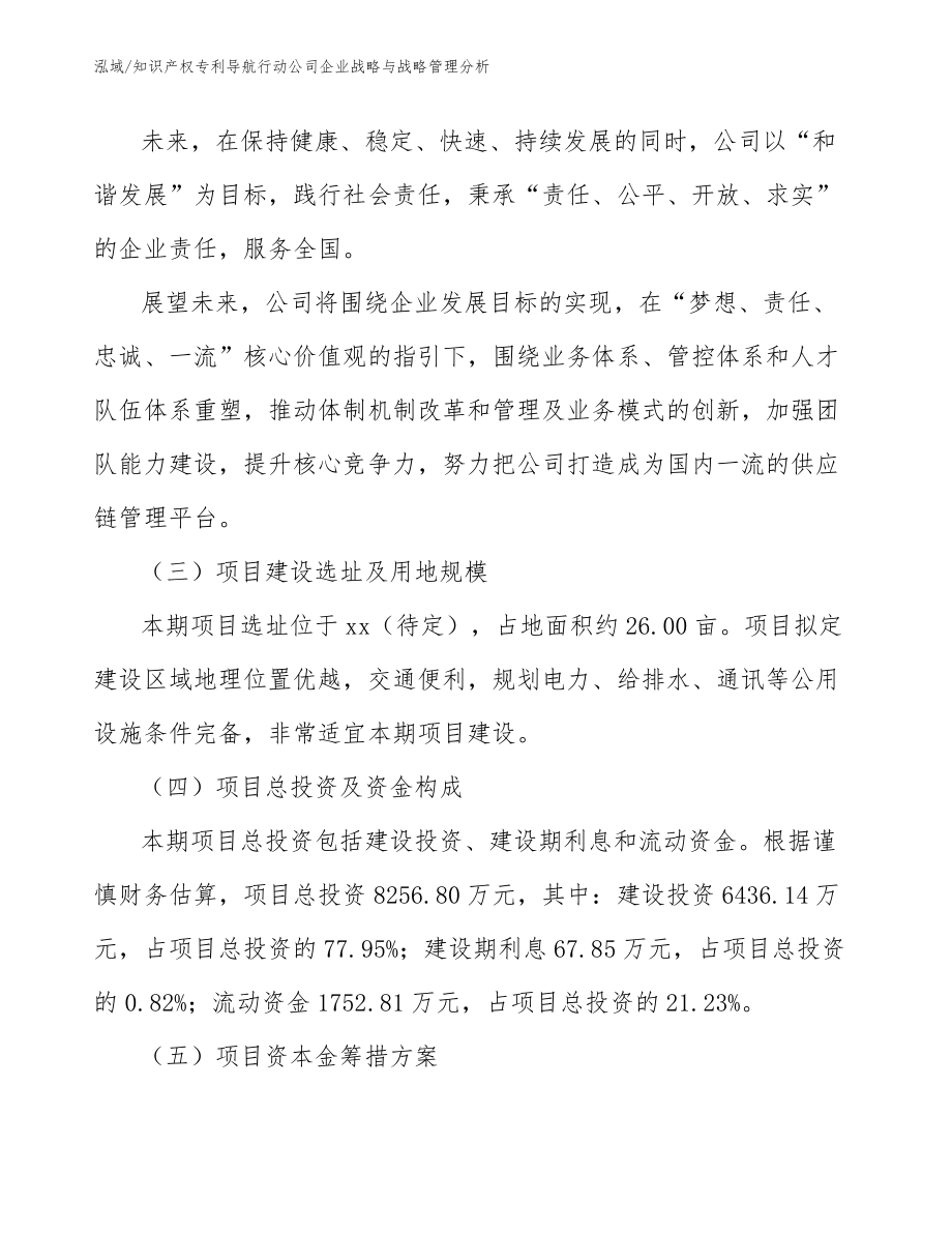 知识产权专利导航行动公司企业战略与战略管理分析_第4页