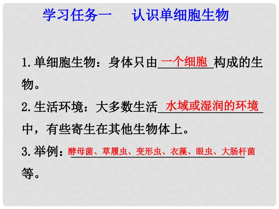 河北省高阳县宏润中学七年级生物上册《第二单元 第二章 第四节 单细胞生物》讲课课件 （新版）新人教版_第3页