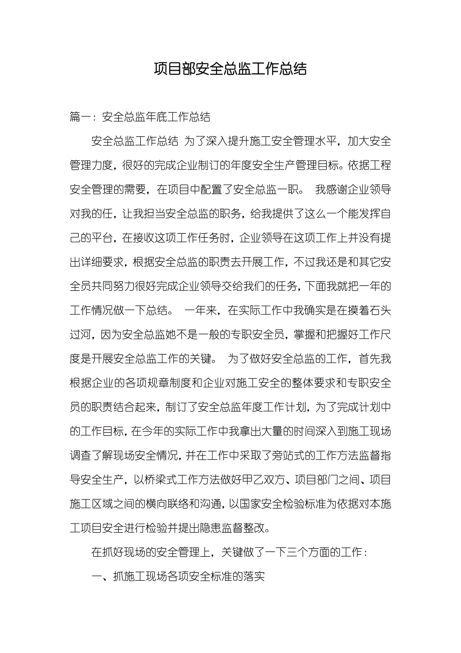 项目部安全总监工作总结_第1页