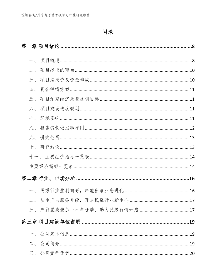 丹东电子雷管项目可行性研究报告_第1页