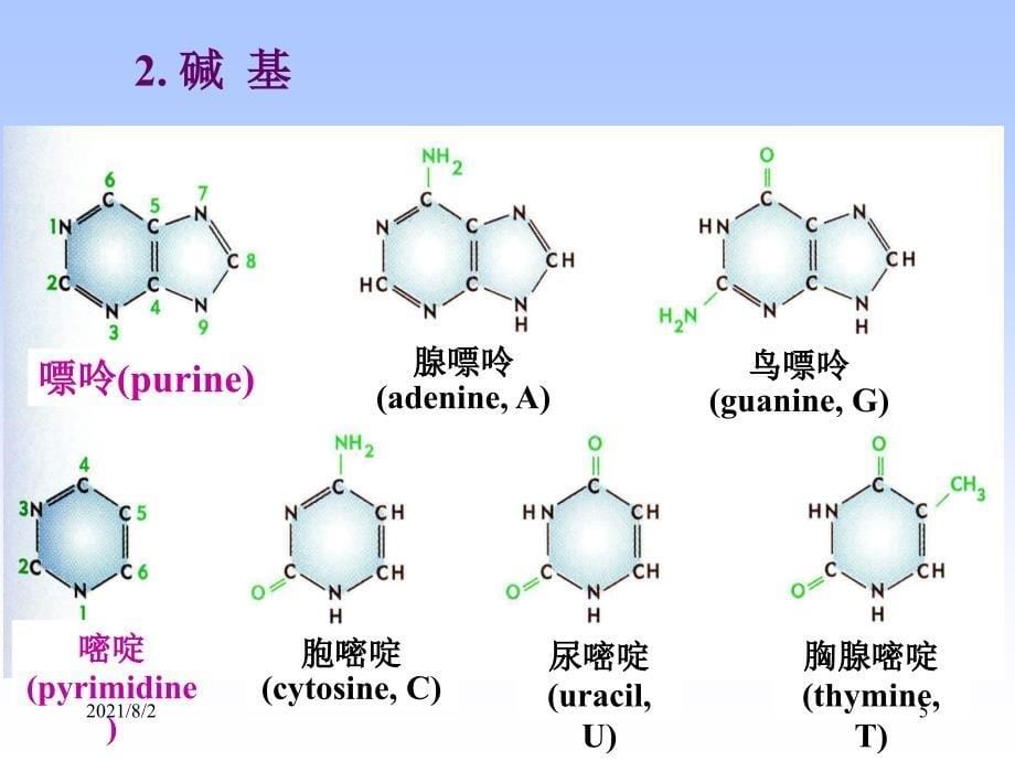 重组DNA技术基础_第5页