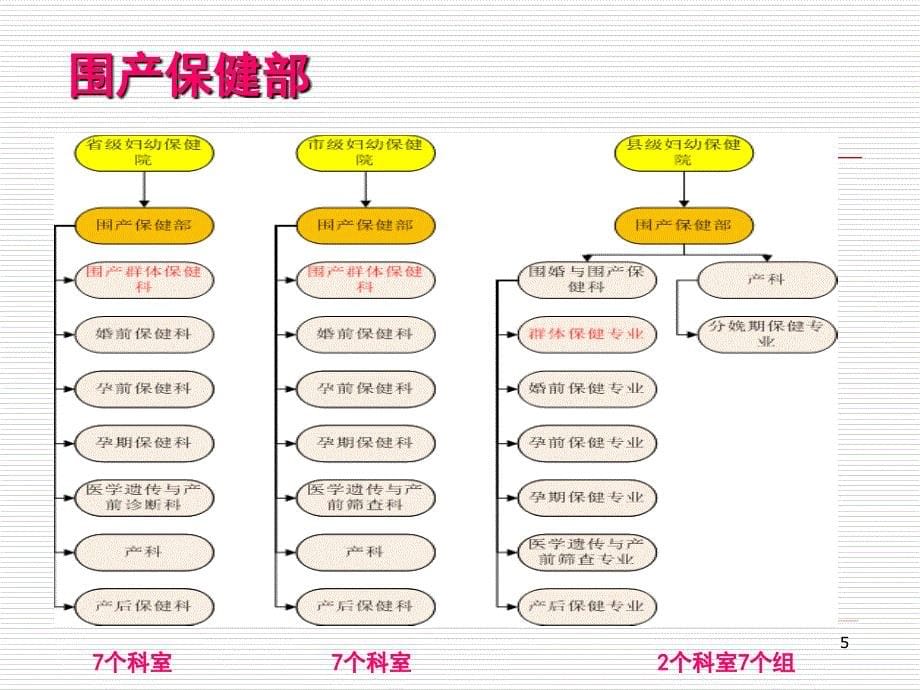 标准化妇幼保健院建设思考ppt参考课件_第5页