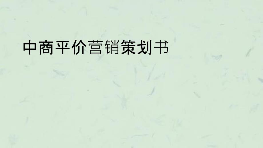 中商平价营销策划书课件_第1页