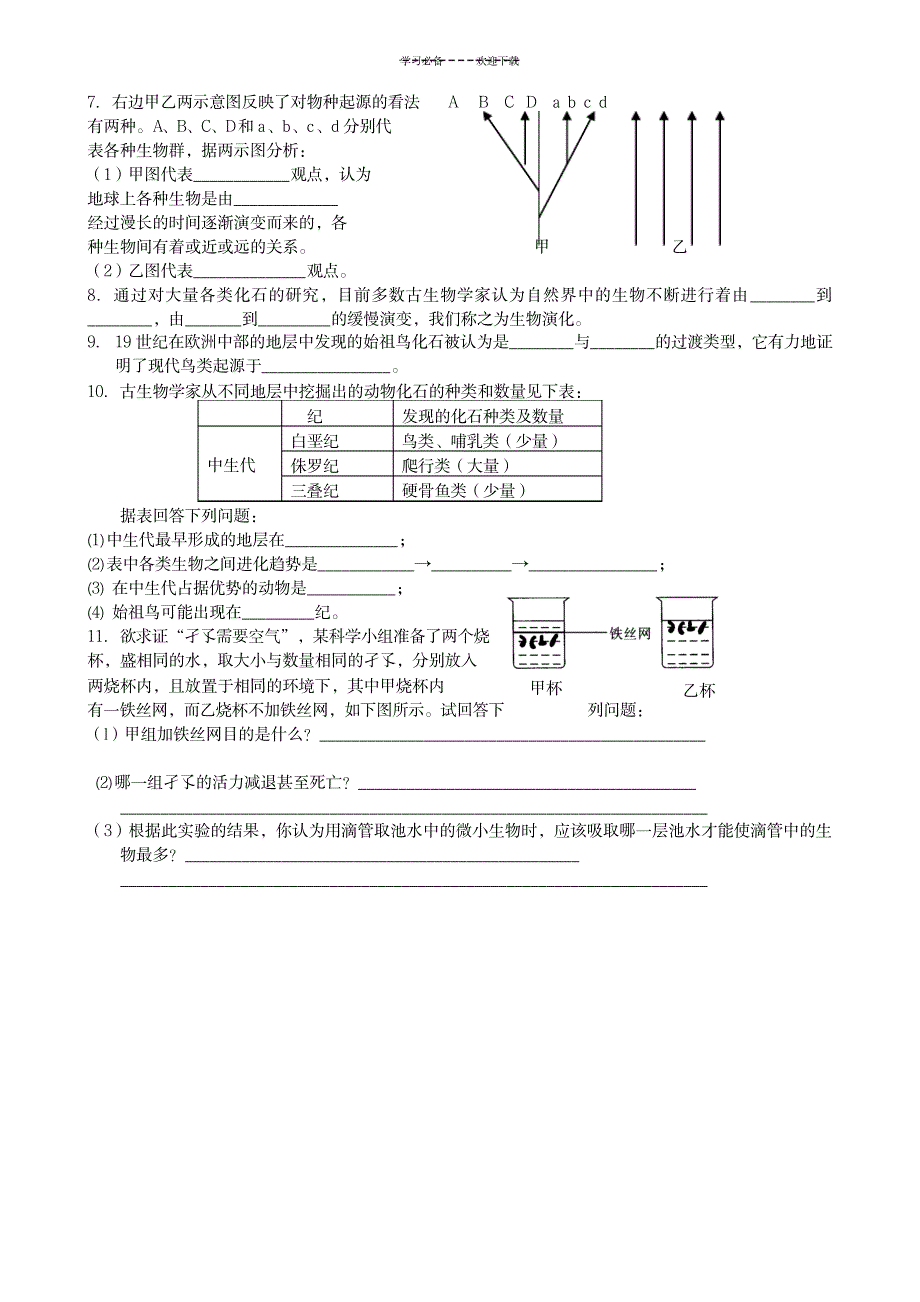 2023年生物的进化练习题浙教版九年级下_第3页
