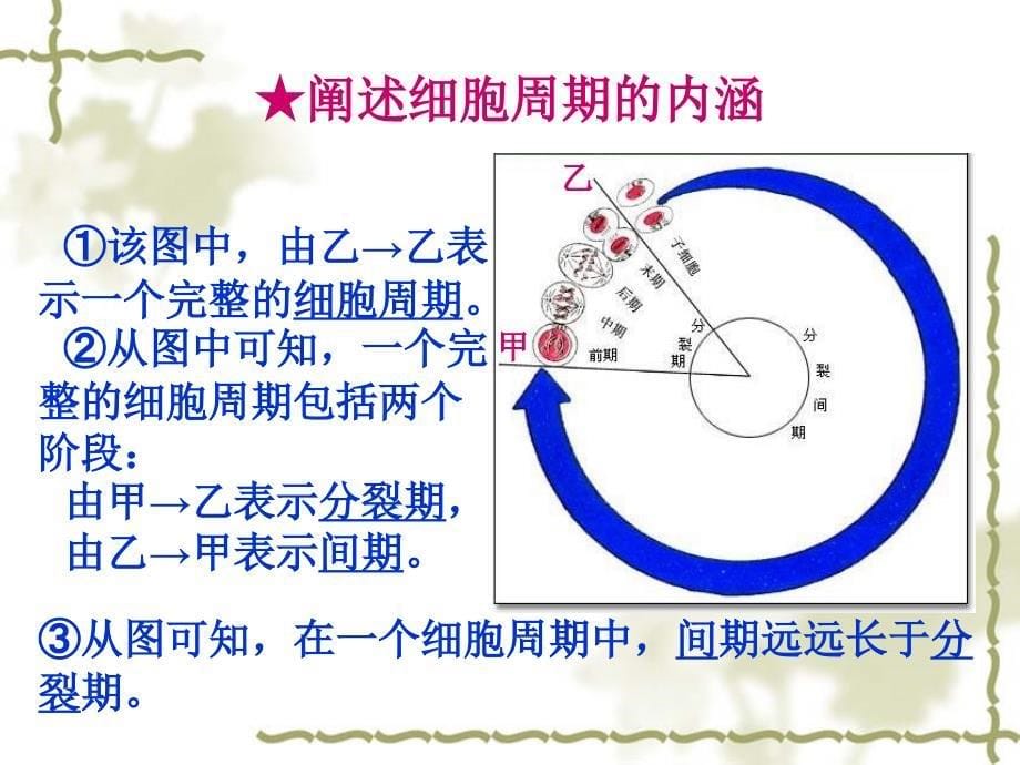 第六章细胞增殖文档资料_第5页