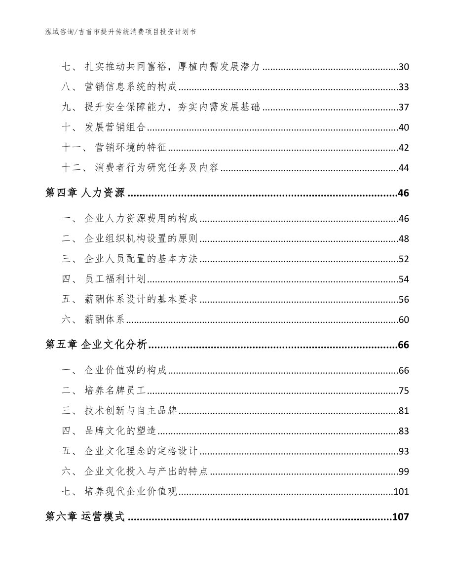 吉首市提升传统消费项目投资计划书参考范文_第2页