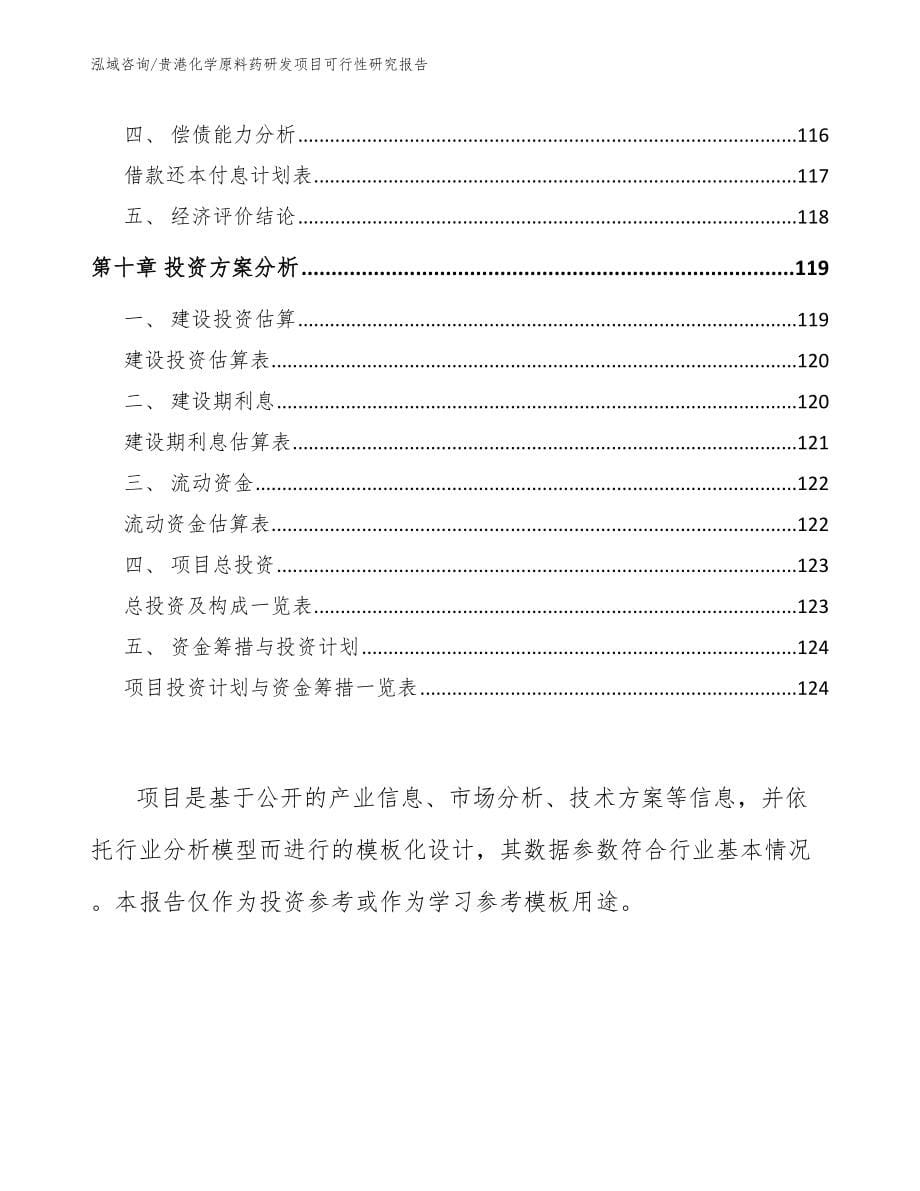 贵港化学原料药研发项目可行性研究报告范文参考_第5页