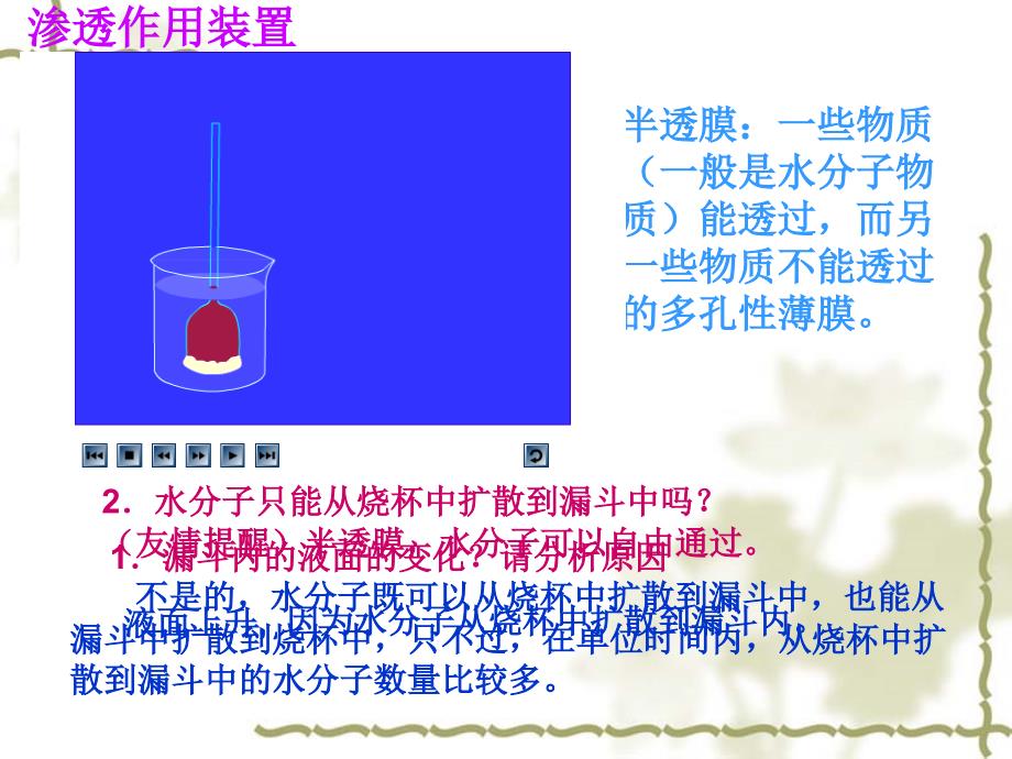 物质跨膜运输的实例_第2页