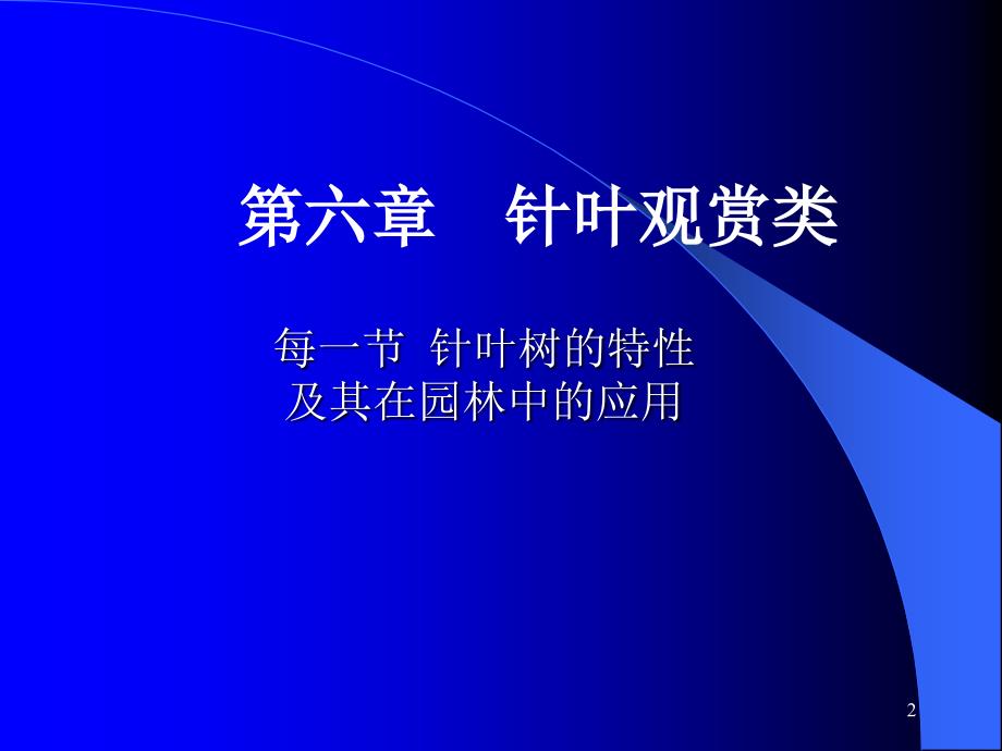 针叶类ppt课件教学教程_第2页