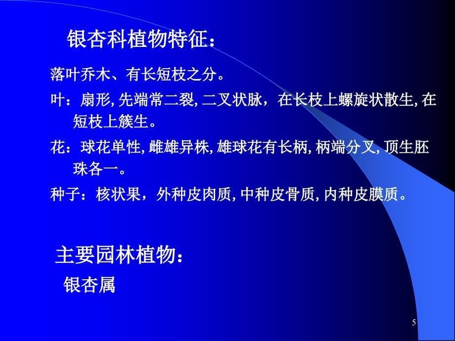 针叶类ppt课件教学教程_第5页