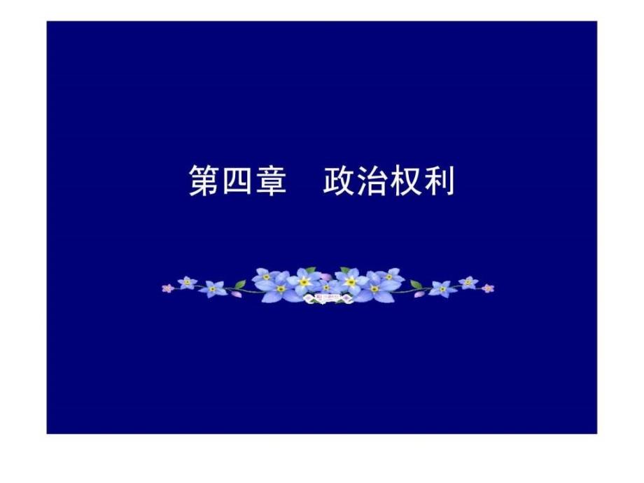 第四章政治权利.ppt_第1页