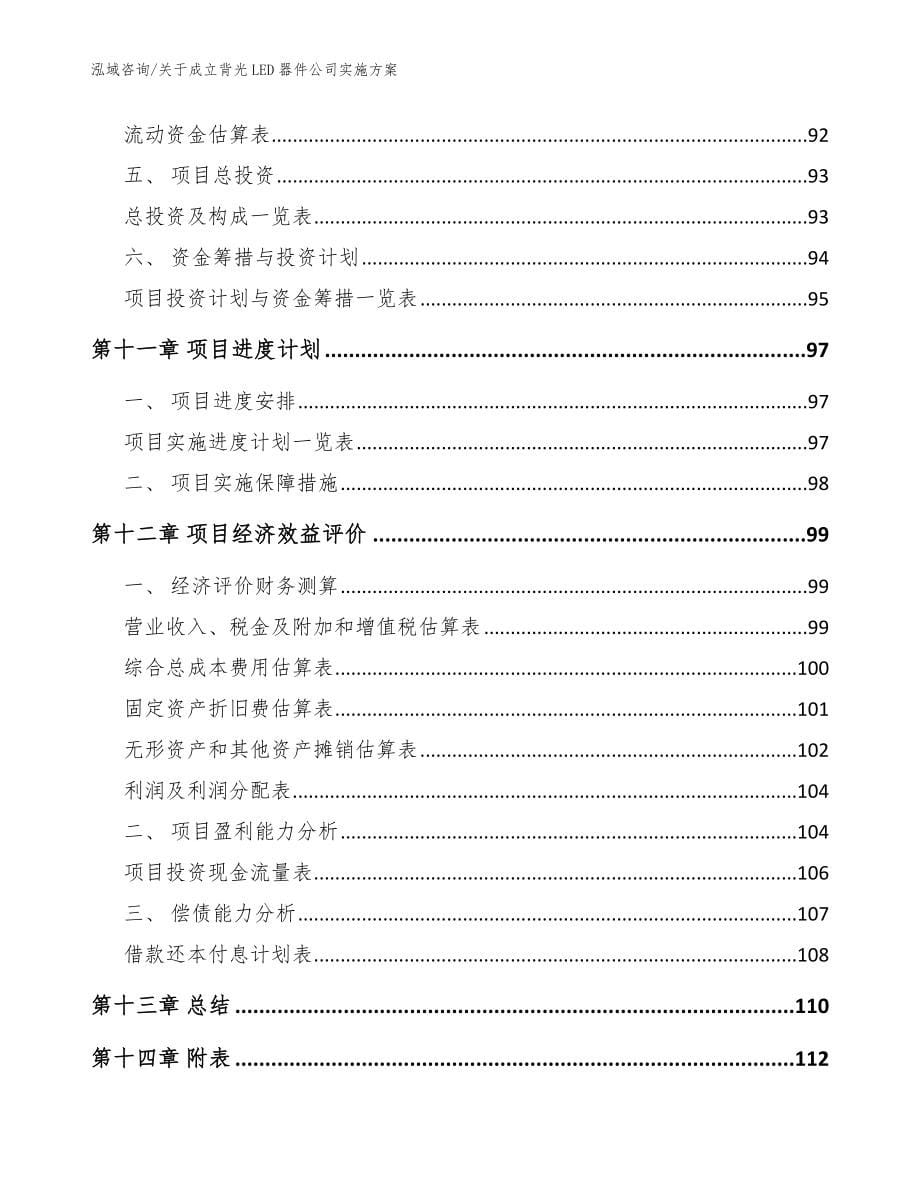 关于成立背光LED器件公司实施方案【模板】_第5页