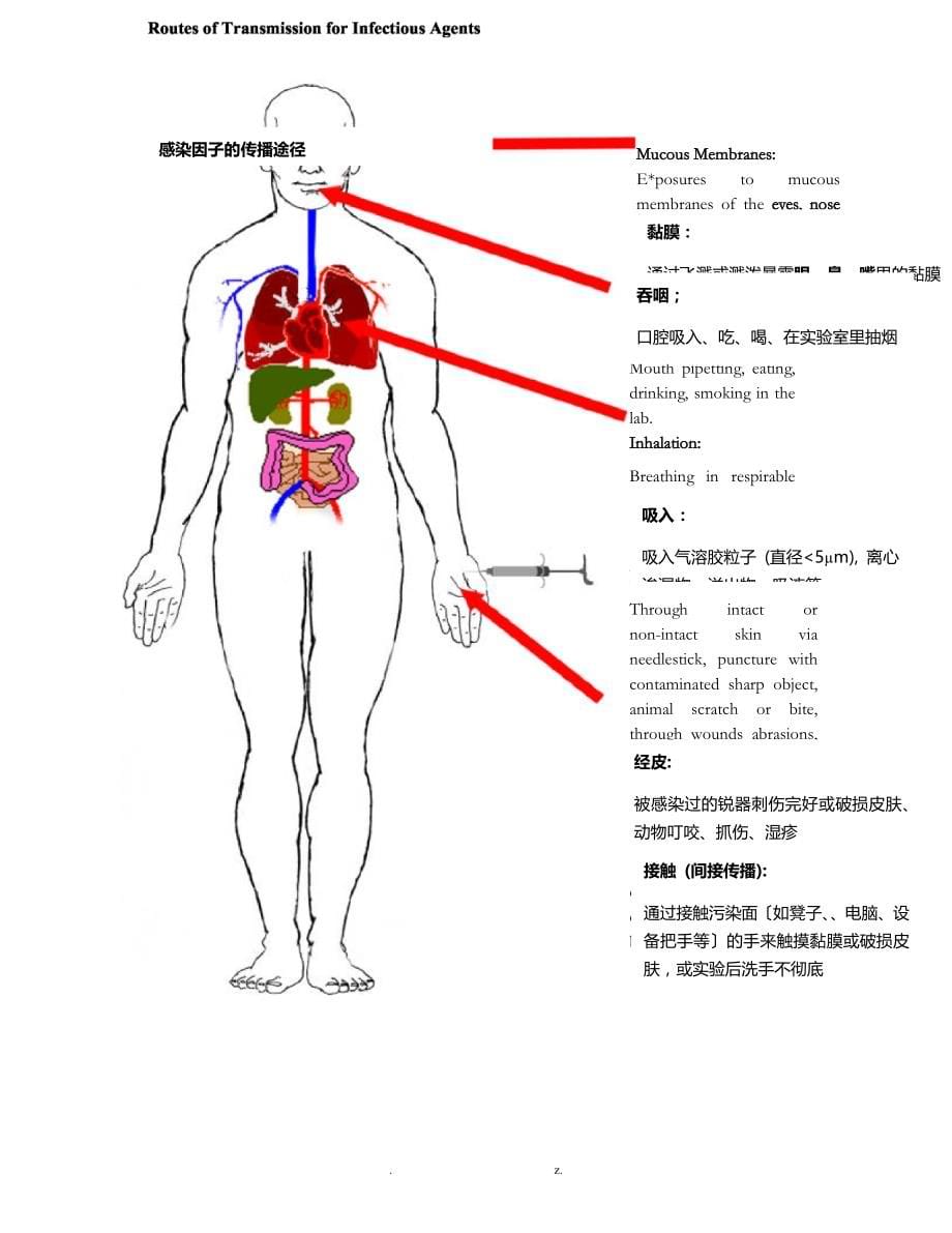 实验室生物安全程序化文件及SOP_第5页