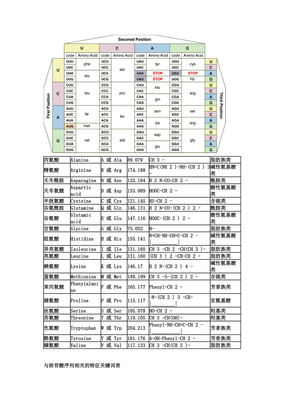 氨基酸密码子对照表 (2).doc_第1页