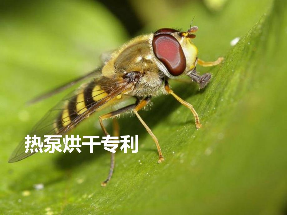 热泵烘干专利课件_第1页