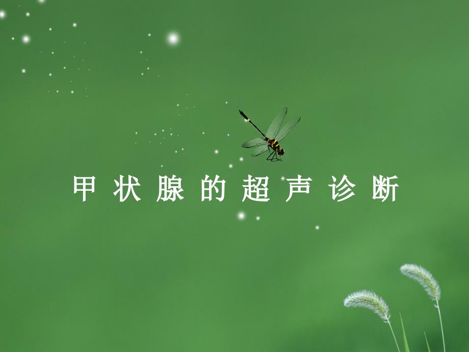 甲状腺标准切面.ppt_第1页