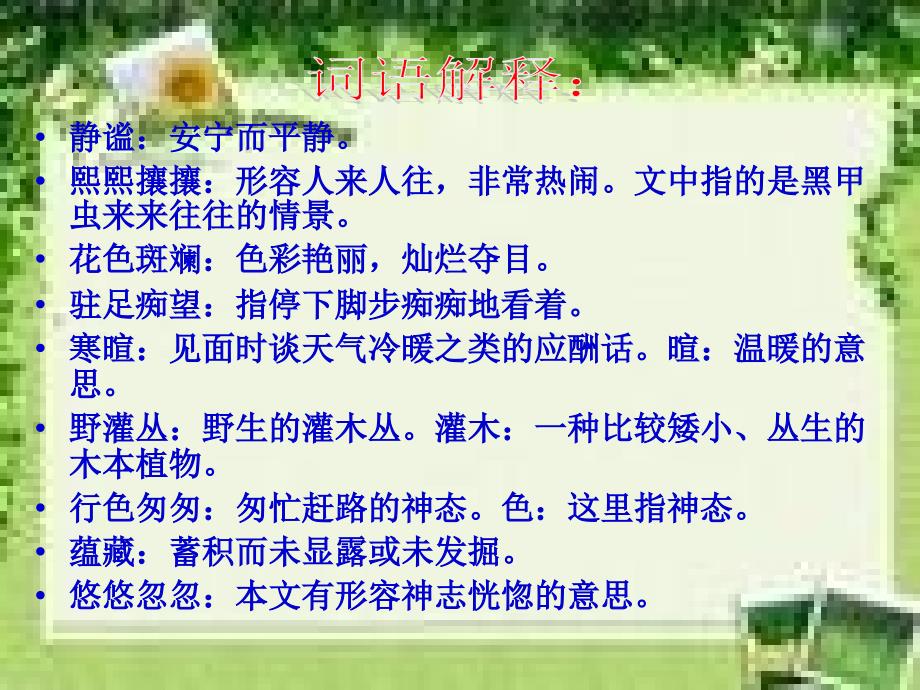 好《草虫的村落》课件_第4页