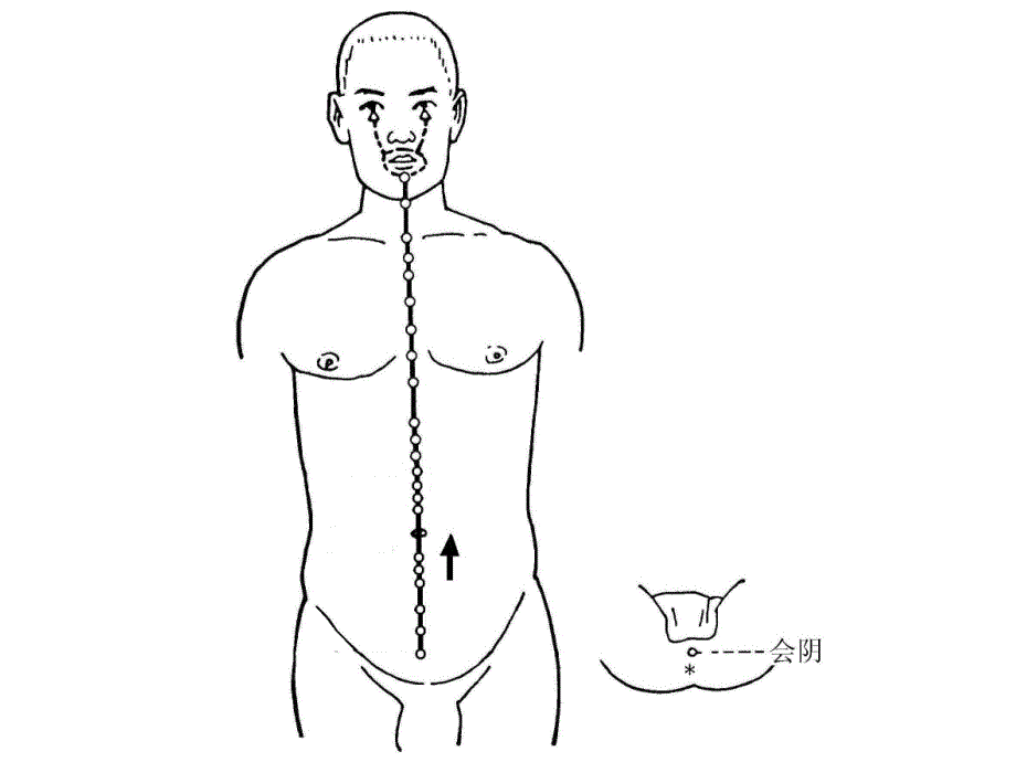 十二经脉及其腧穴PPT78_第3页