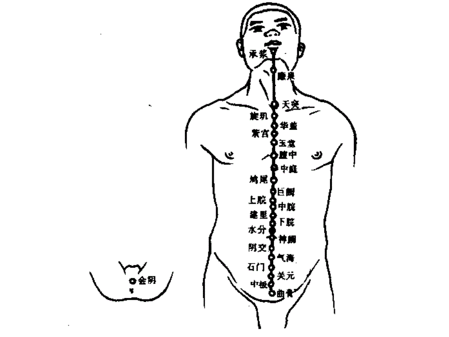 十二经脉及其腧穴PPT78_第4页