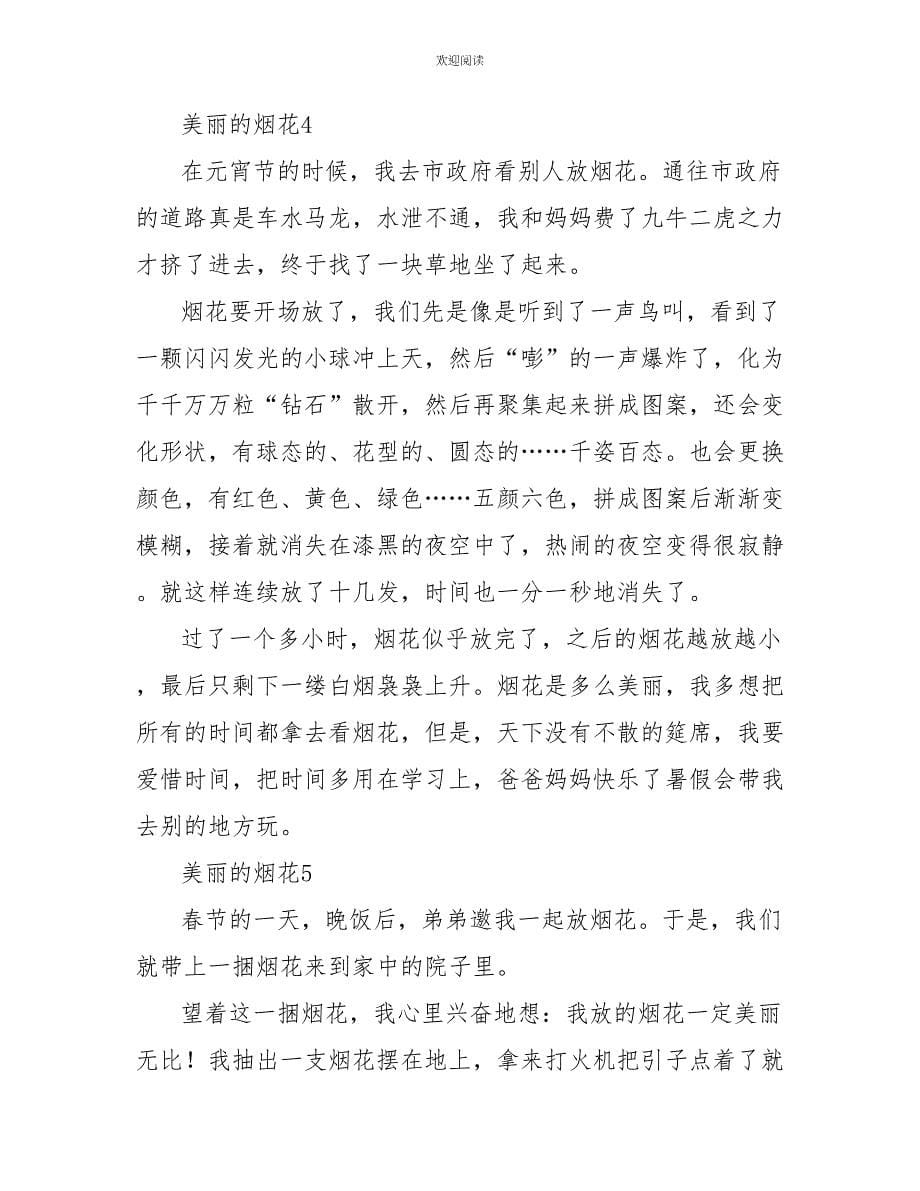 美丽的烟火一年级作文_第5页