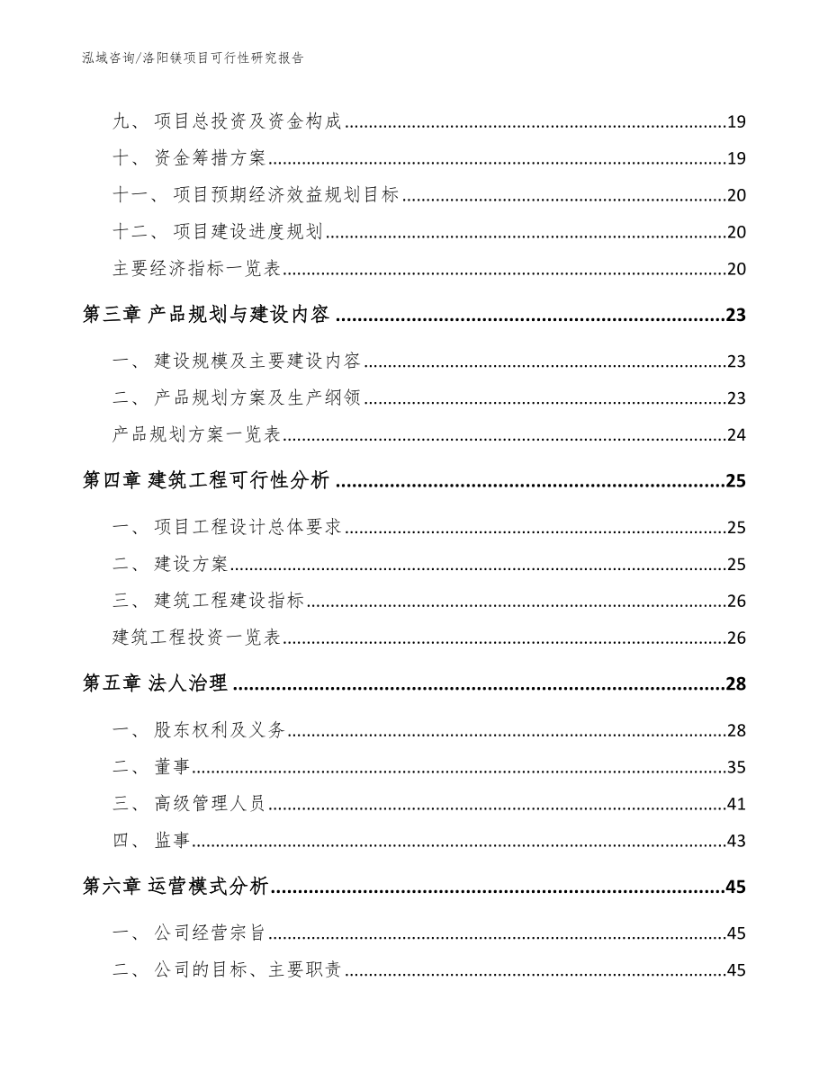 洛阳镁项目可行性研究报告_第4页