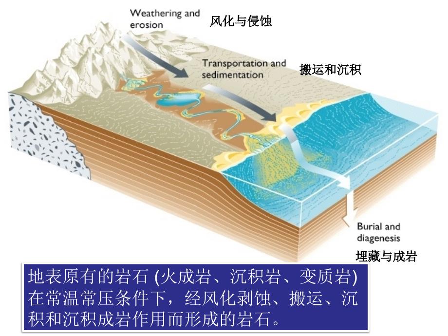 实验三：认识常见沉积岩(刘长江)_第2页