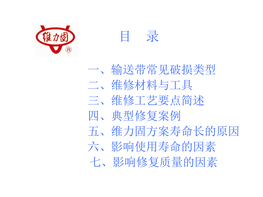 输送带破损维修工艺与材料_第2页