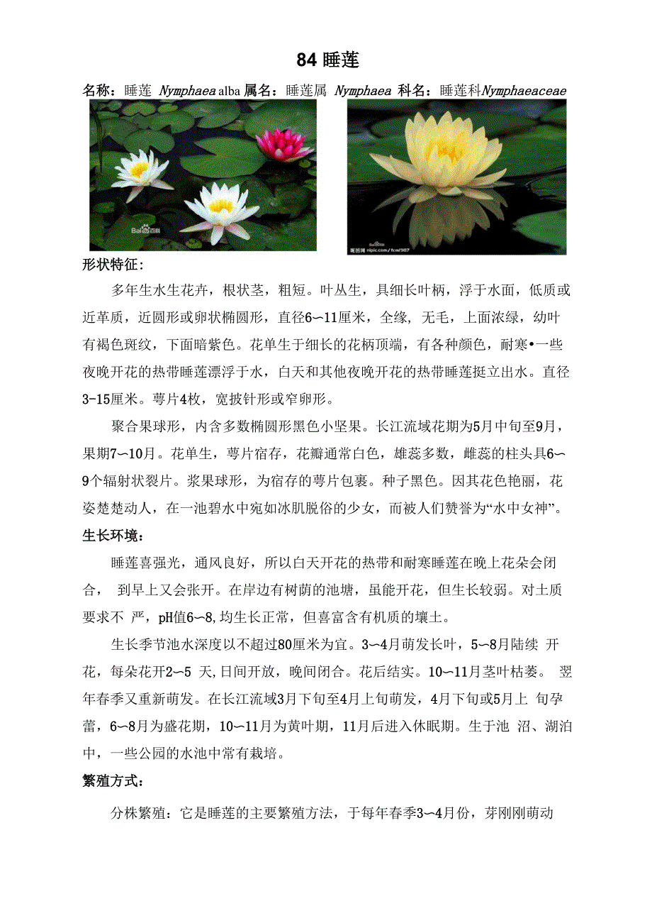 水生植物整理_第1页