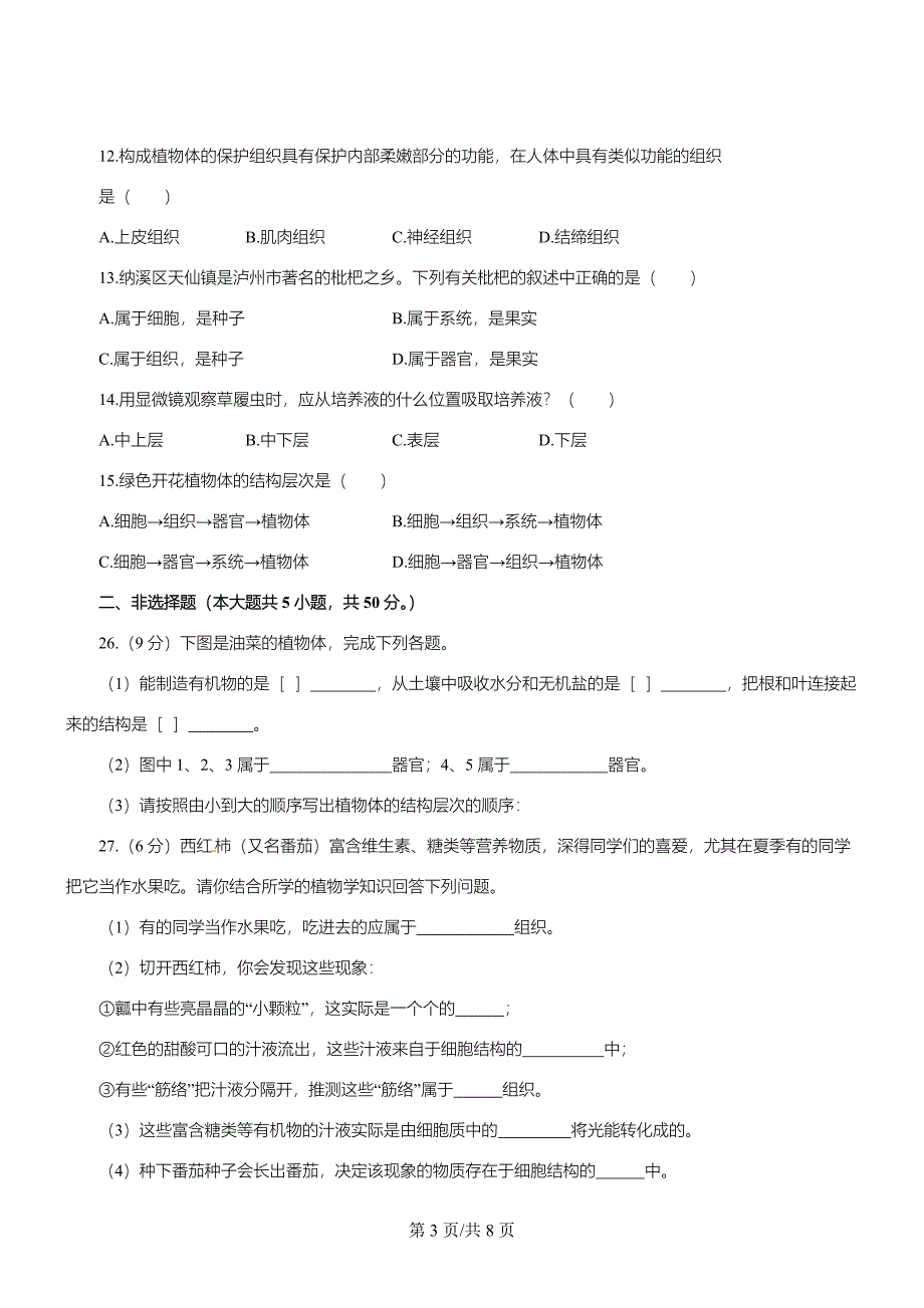 生物七年级上苏教版2.4生物体的组成章节测试及答案_第3页