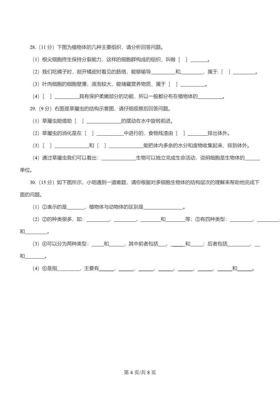 生物七年级上苏教版2.4生物体的组成章节测试及答案_第4页