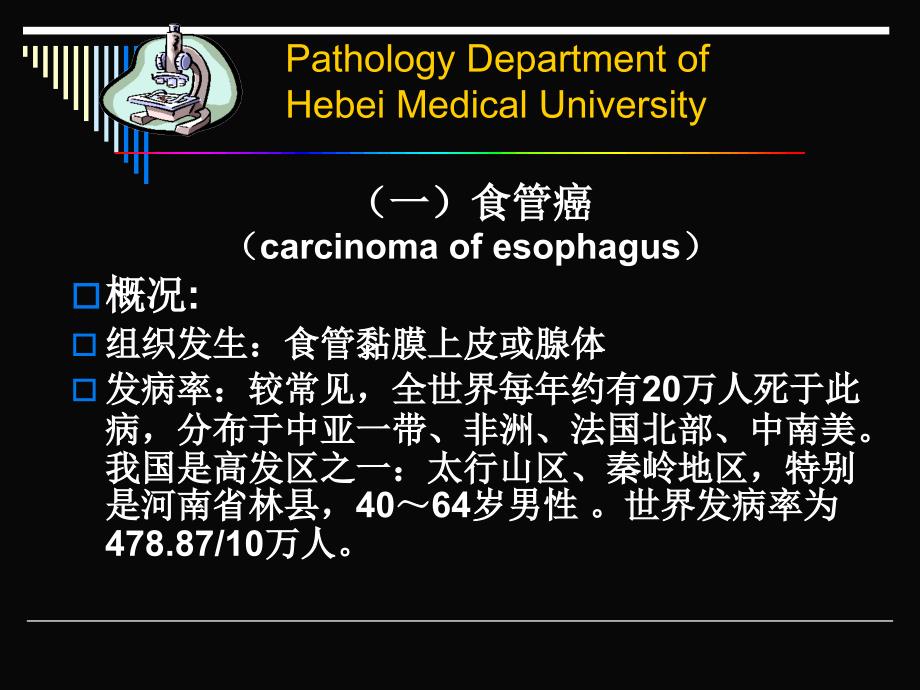 消化系统常见肿瘤文档资料_第2页