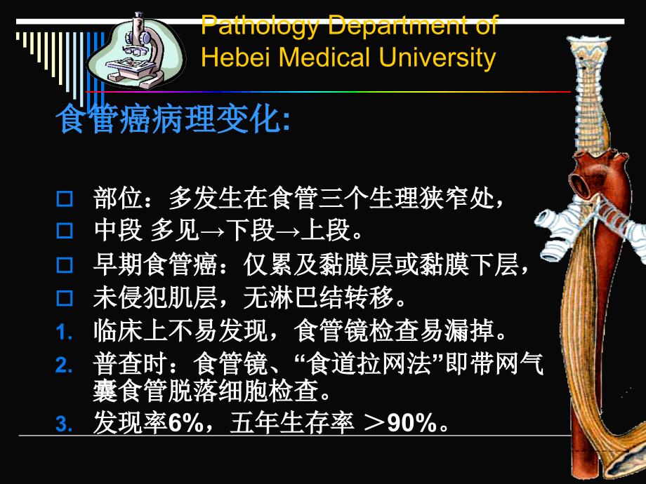 消化系统常见肿瘤文档资料_第4页