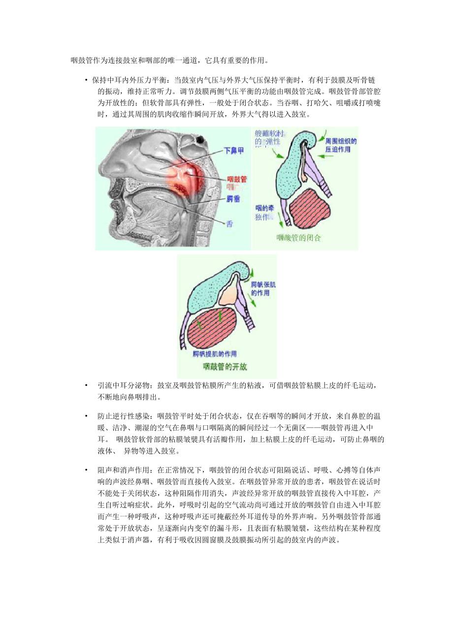 咽鼓管的功能作用_第1页