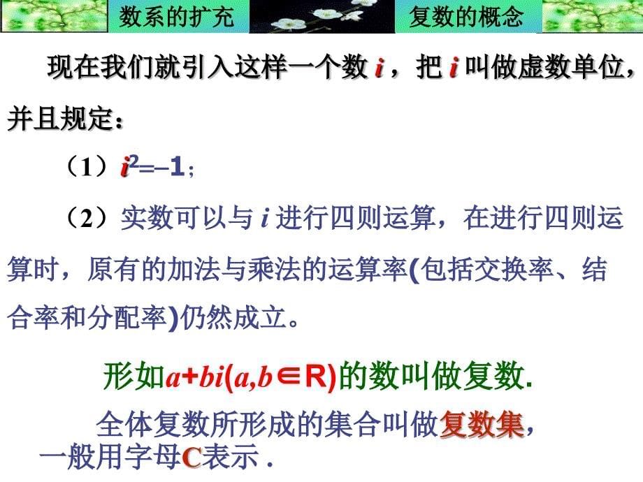 3[1]1《数系的扩充与复数的概念》课件(新人教选修2-2)_第5页