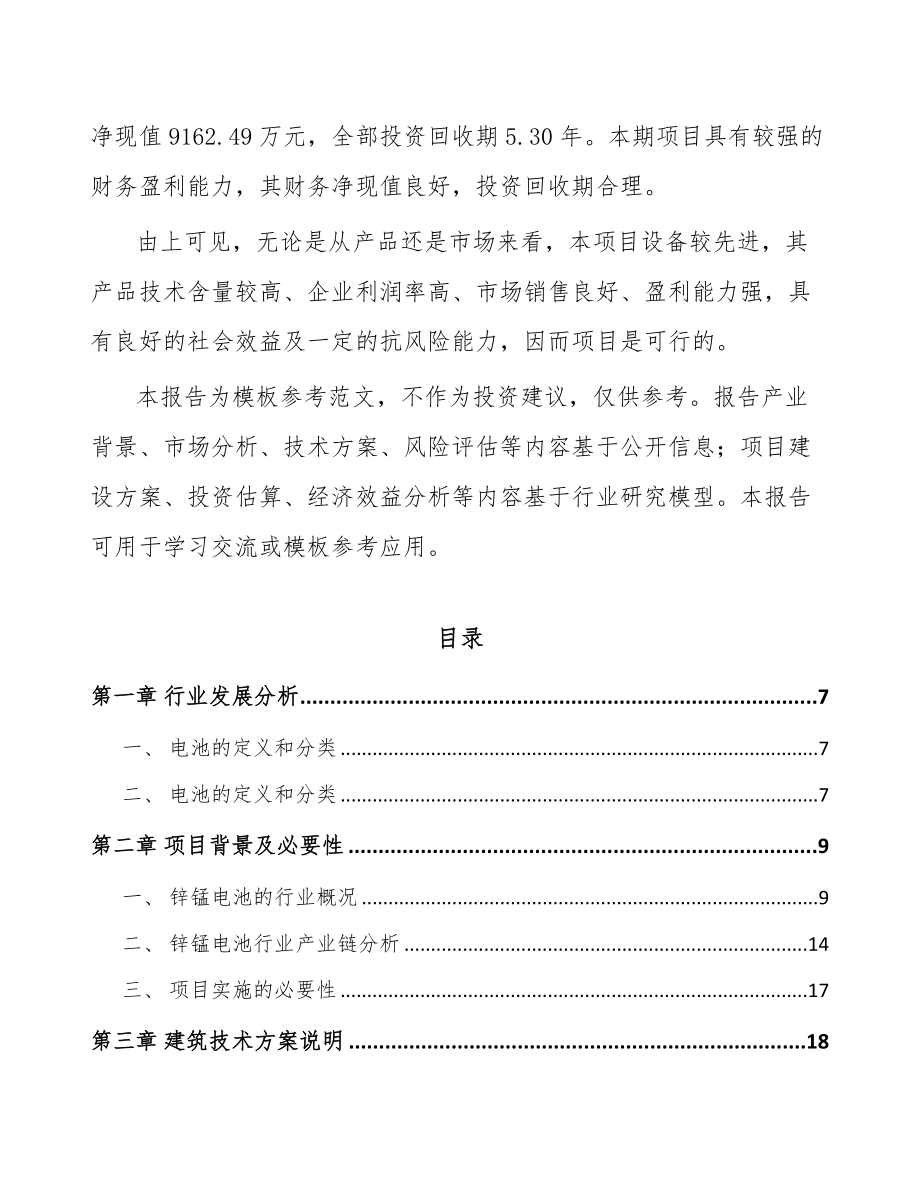 宁波电池项目可行性研究报告_第3页