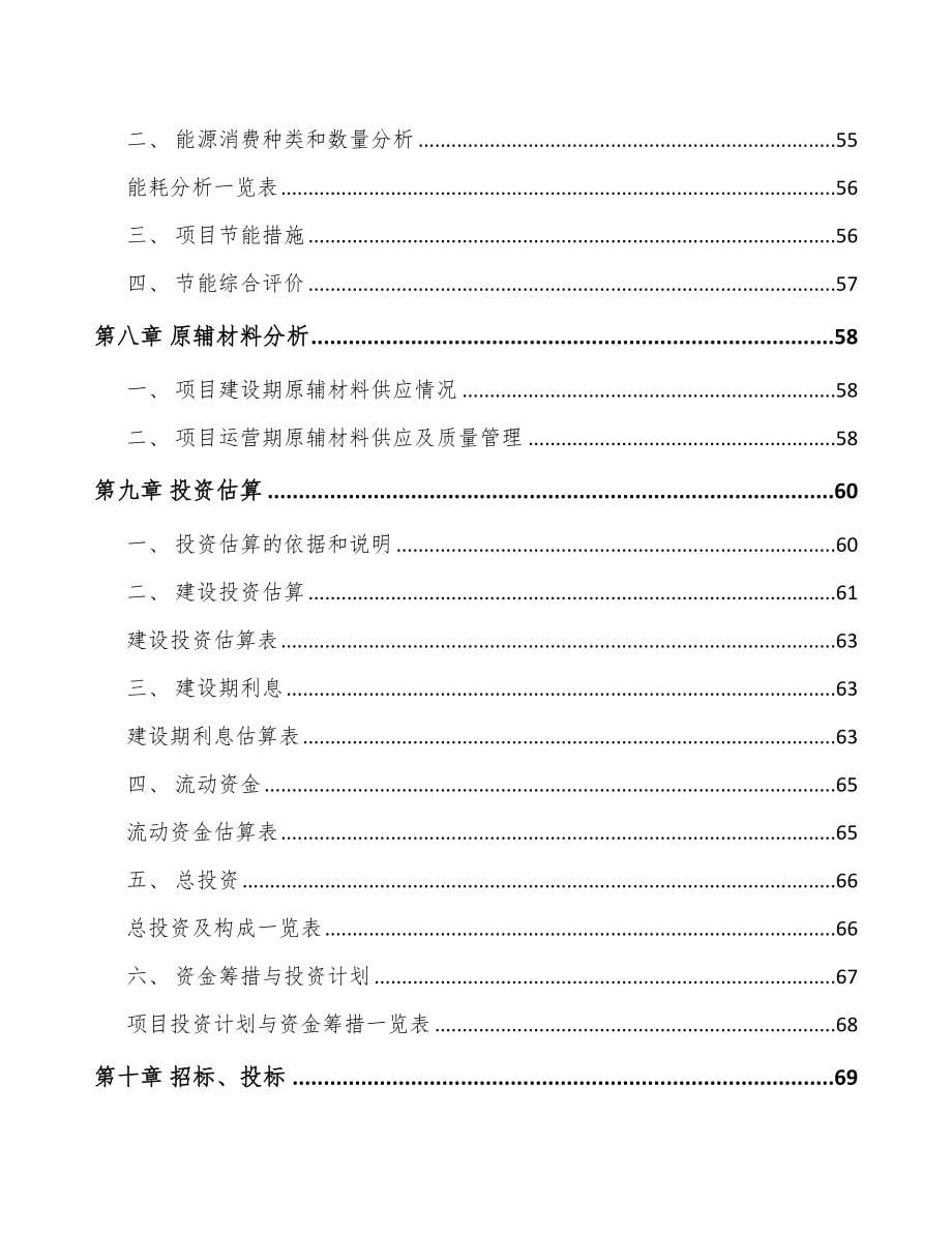 宁波电池项目可行性研究报告_第5页