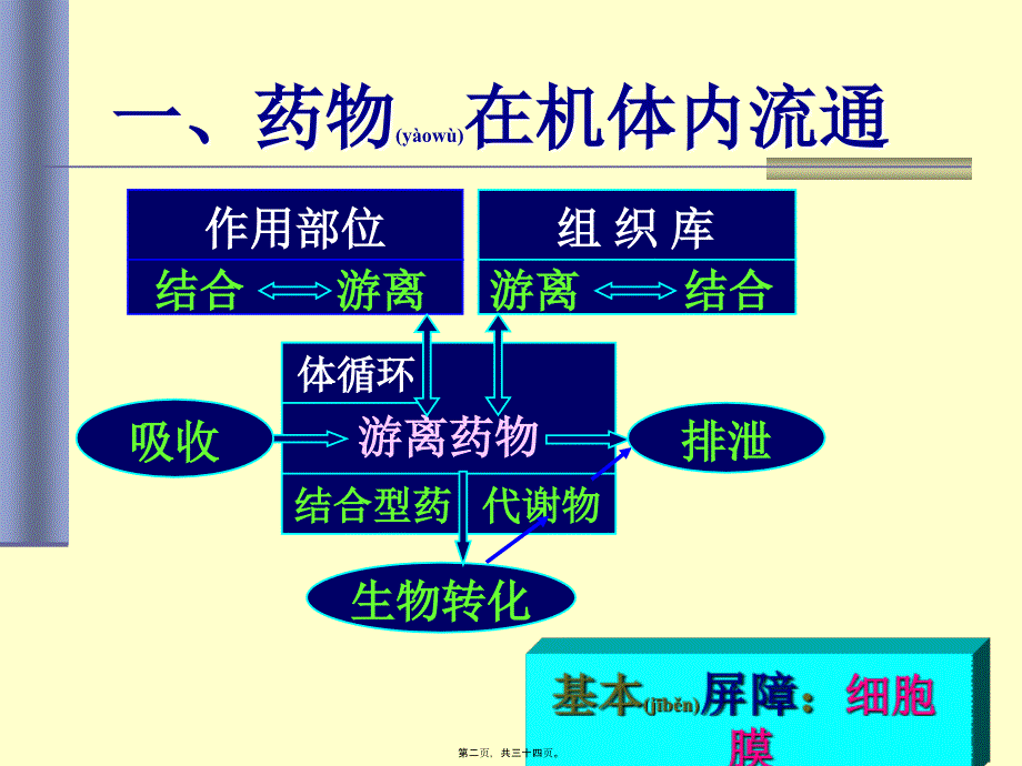 第01篇3药代学课件_第2页