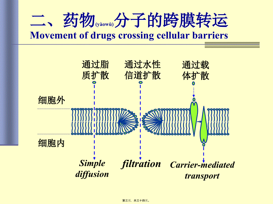 第01篇3药代学课件_第3页